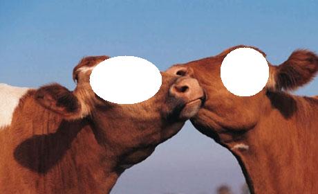 niat qurban